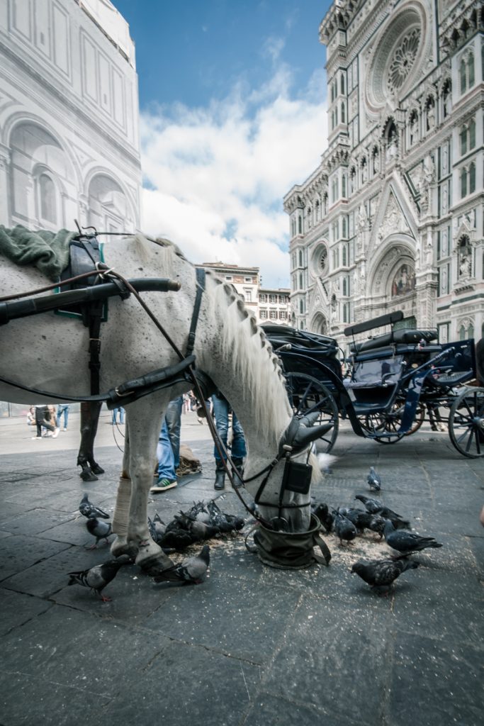 cose romantiche a firenze